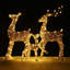 Andriesse Decoration
