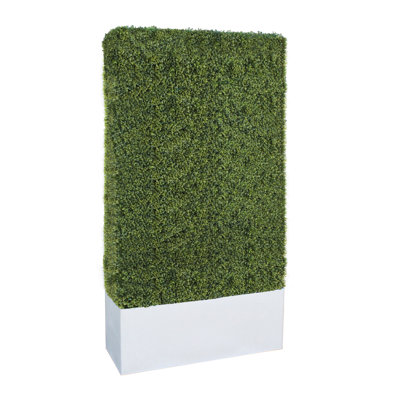 Faux Boxwood Hedge in Ceramic Planter