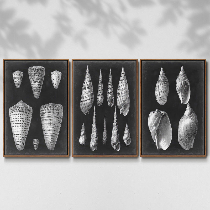 Alabaster Shells I, ensemble de 3 toiles encadrées sur toile, Noyer, H 40 po x l 78 po