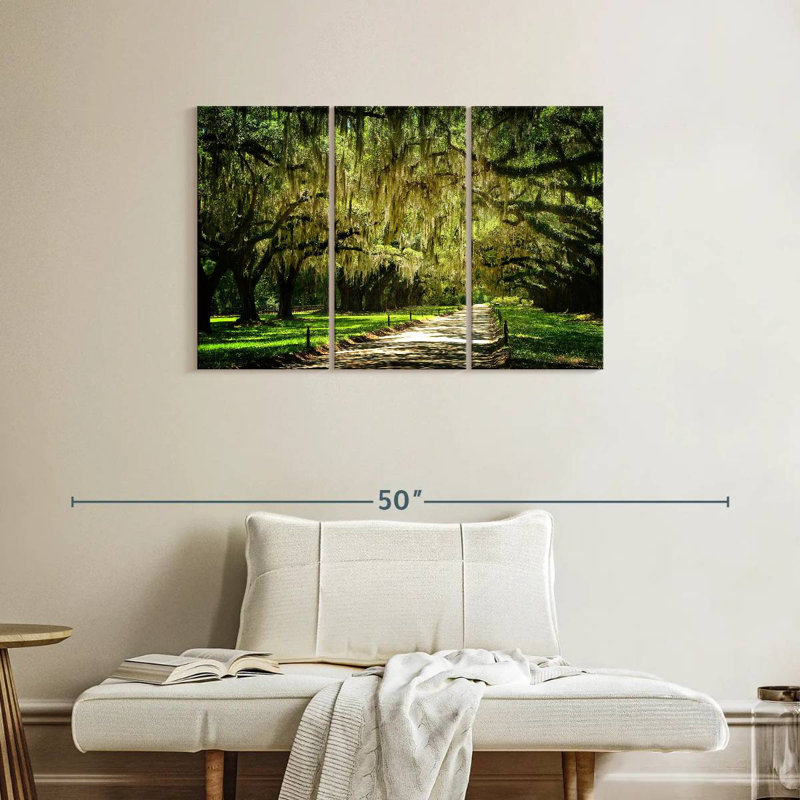 Parc Sireston Dreamy de Charleston, H 24 po x l 38 po
