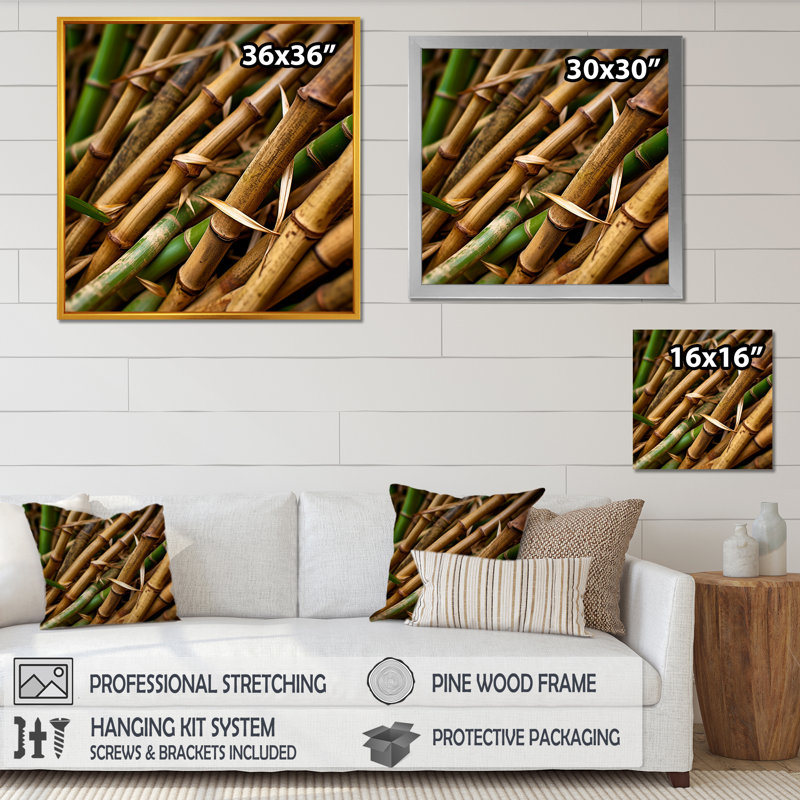 " Bamboo Field Close Up I ", Black Floater Framed, 30" H x 30" W x 1" D