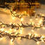 Guirlande d'extérieur 49 pi Cluster Twinkle-310311560