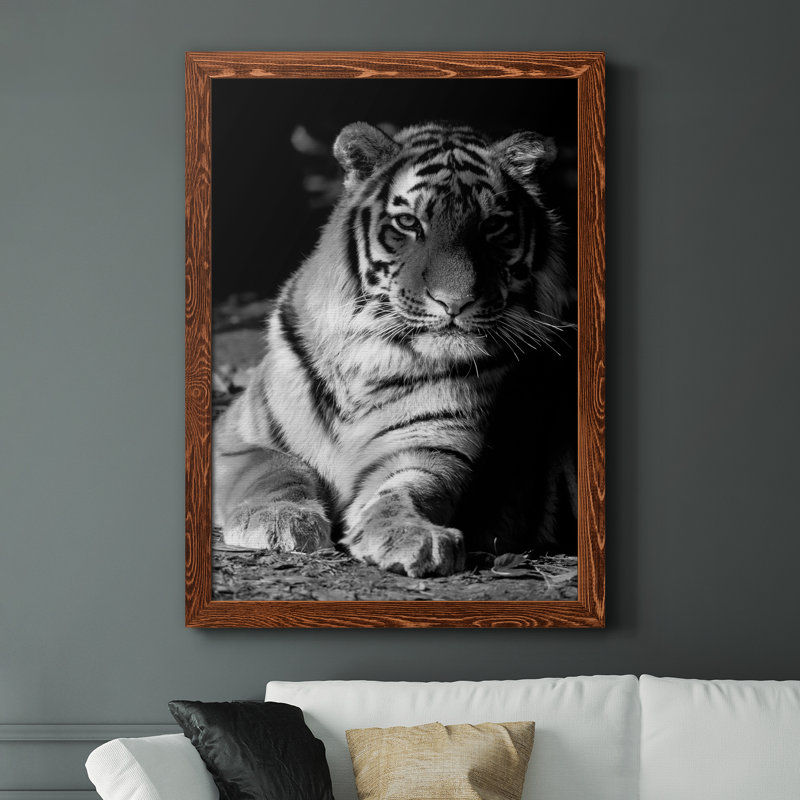 Tiger Repose - photographie avec cadre photo sur toile, H 44 po x l 31 po x P 1 po, Cadre en érable