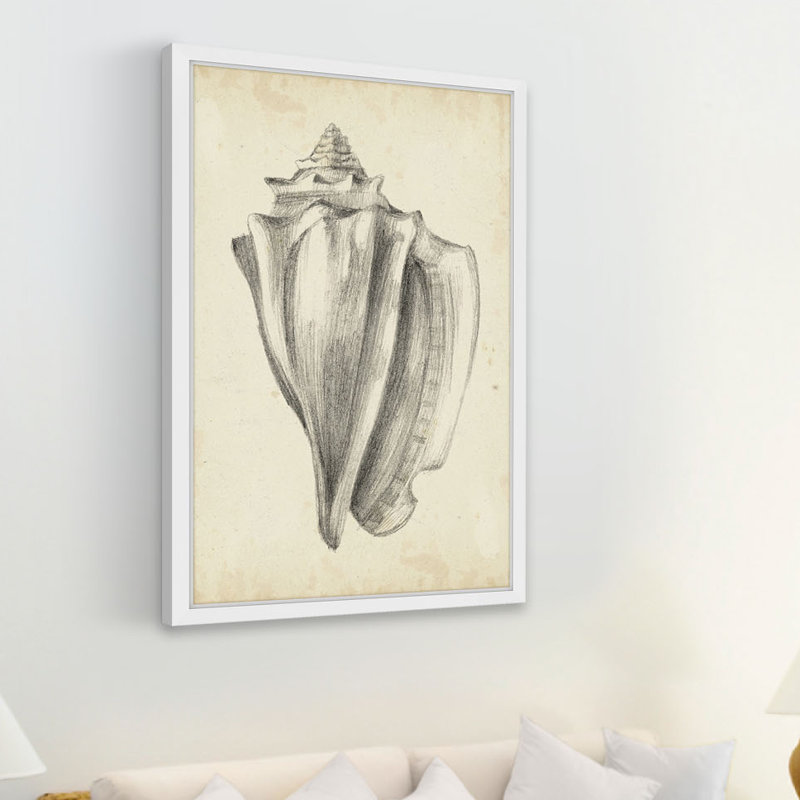 « antique shell study iv », reproduction d’art encadrée, H 24 po x l 16 po x P 1,5 po