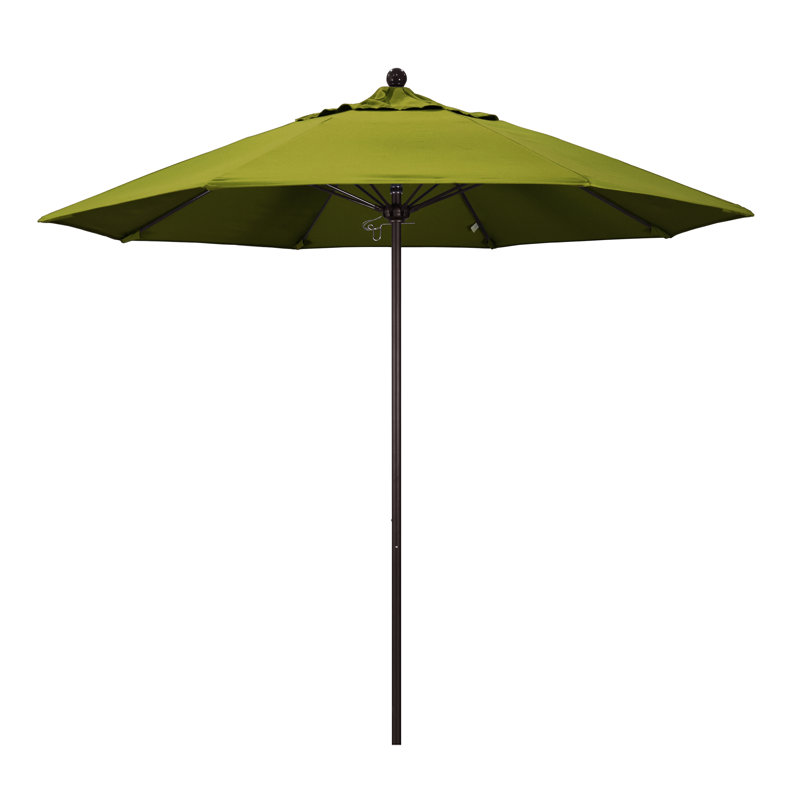 Parasol 9" Market, Performance kiwi