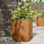 Arzate Planter Box-2059468693