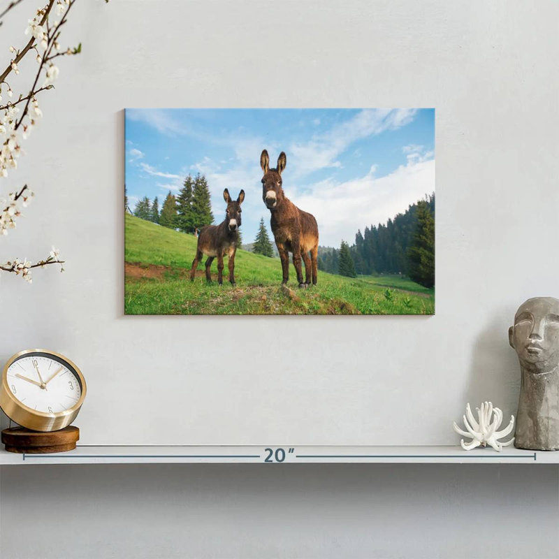 Brampt Wild Transylvanian Donkeys, 8'' H x 12'' W