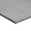 Carrelage de sol et mural Sonoma Cameo 12 po x 24 po en porcelaine polie aspect pierre-44657768
