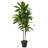 48'' Faux Dracaena Plant