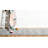 Ankeny Indoor Rug-1411347552