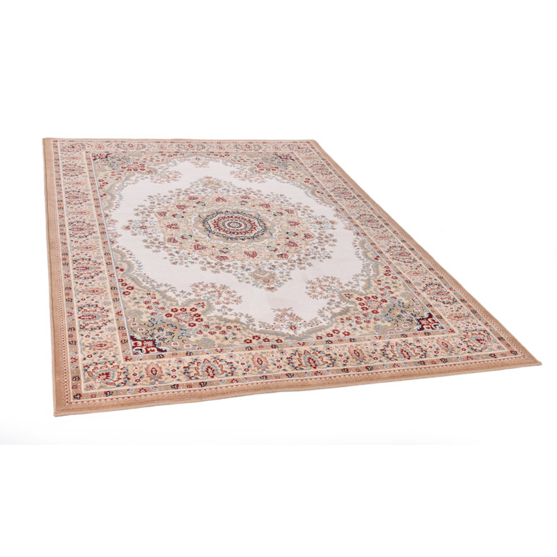 Oriental Area Rug, Rectangular 160 x 230cm