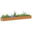 Raised Garden Bed-535497286