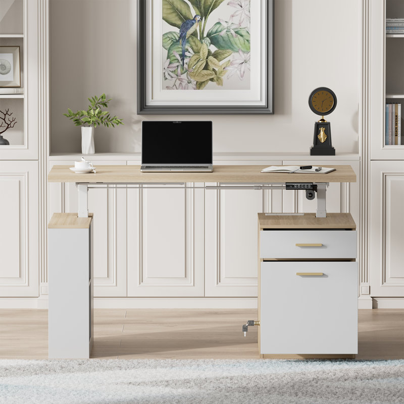 53" Electric Height-Adjustable Standing Desk With 2-Drawer & Open Storage, Built-In Charging, Privacy Panel – Executive Desk For Home Office