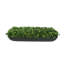 UV Rated Outdoor Boxwood Arrangement-1871520270-1871520271