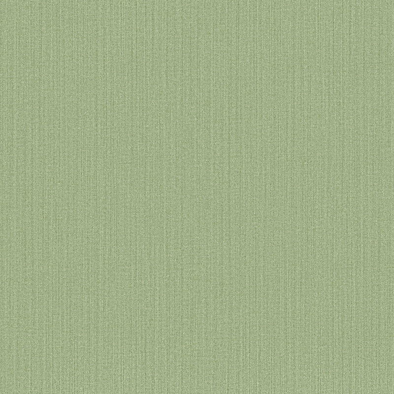 Rouleau de papier peint texturé Cottage Chic, Vert
