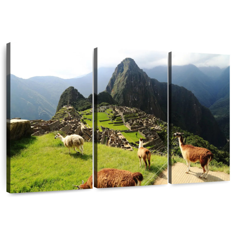 Lilie Llamas au Machu Picchu, H 32 po x l 50 po
