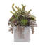 Faux Succulent in Stone Pot