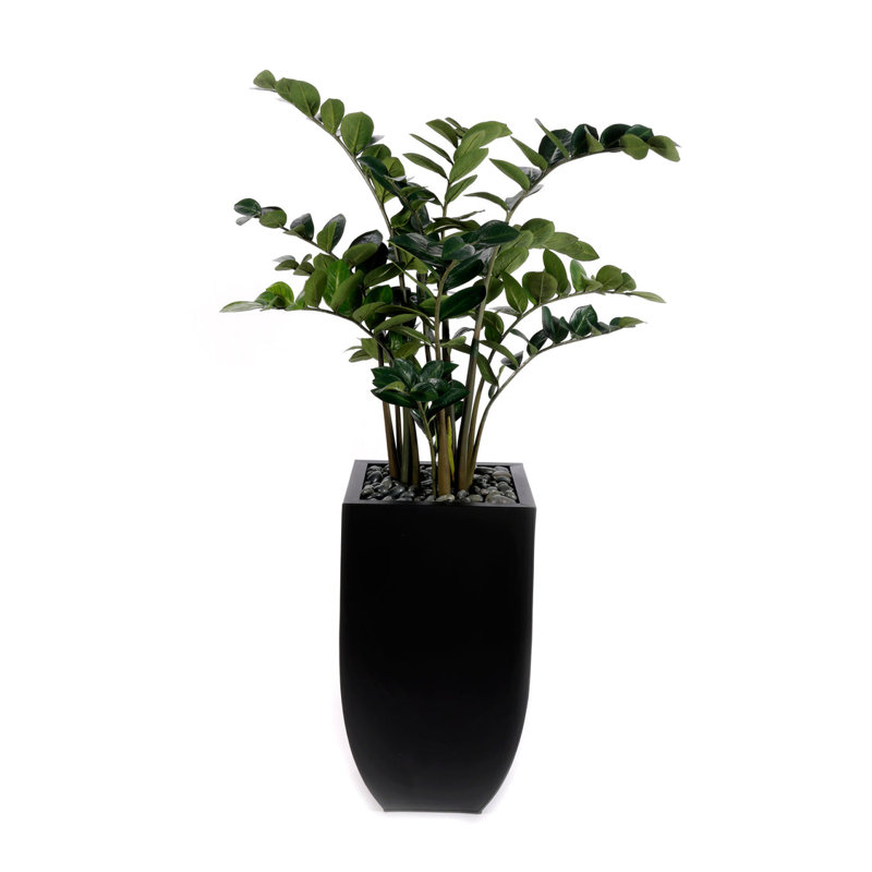 5'H Artifical Z Z Plant With Pebbles in Black Tin Planter