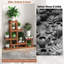 Support pour plante Paylee