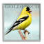 Portrait d'un oiseau chardonneret jaune, texte rustique par Alpenglow-70678293-70678278