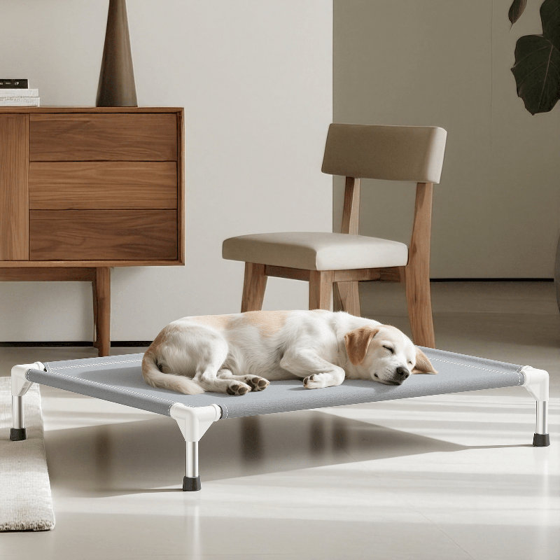  Lit pour chien surélevé surélevé en acier inoxydable pour l'extérieur et l'intérieur, gris (moyen), Médium