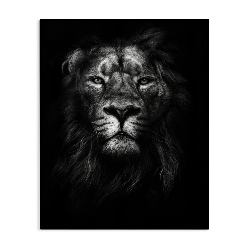 Dunfermline «King of the Jungle Lion In Shadows Black and White» par Design Fabrikken, impression, H 20 po x l 16 po