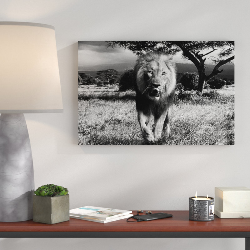Wrapped Canvas Print, 50cm H x 76cm W