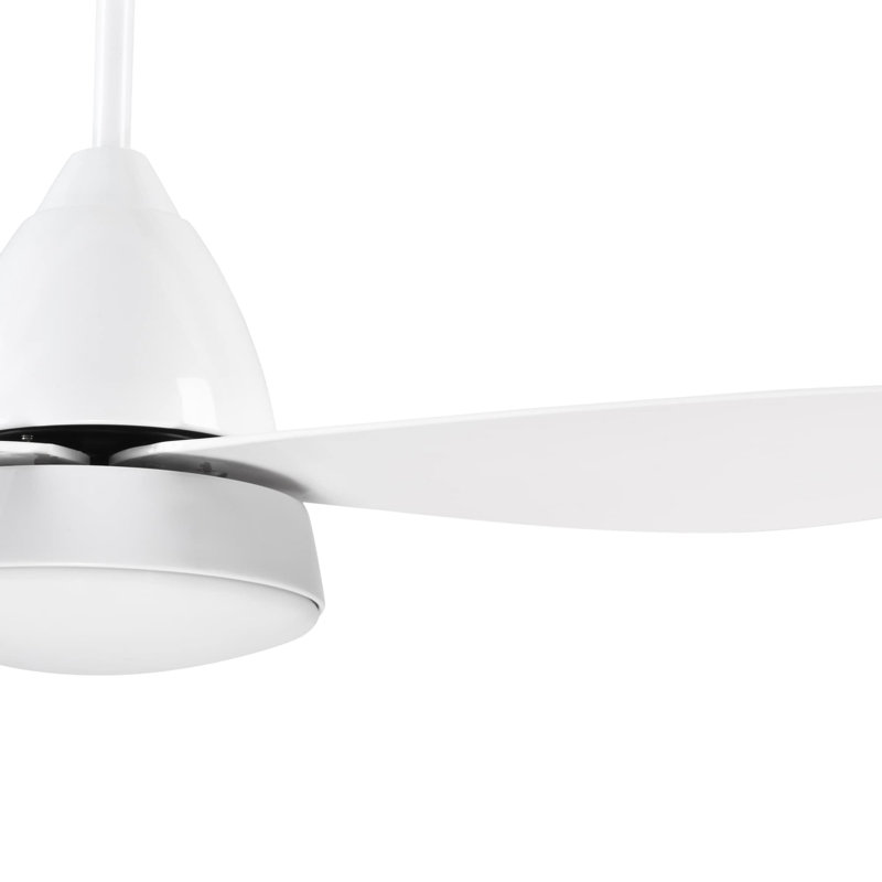 Ceiling Fan with LED Lights