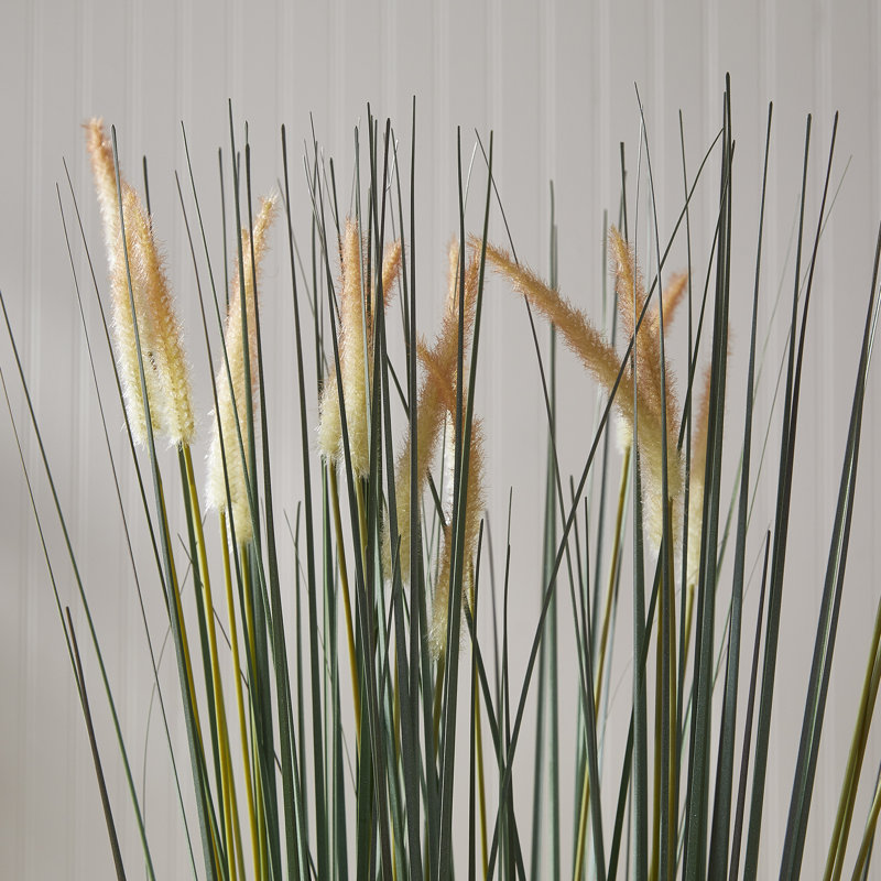 Herbe artificielle 35 po Queensland