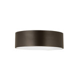 Hadsell Flush Mount