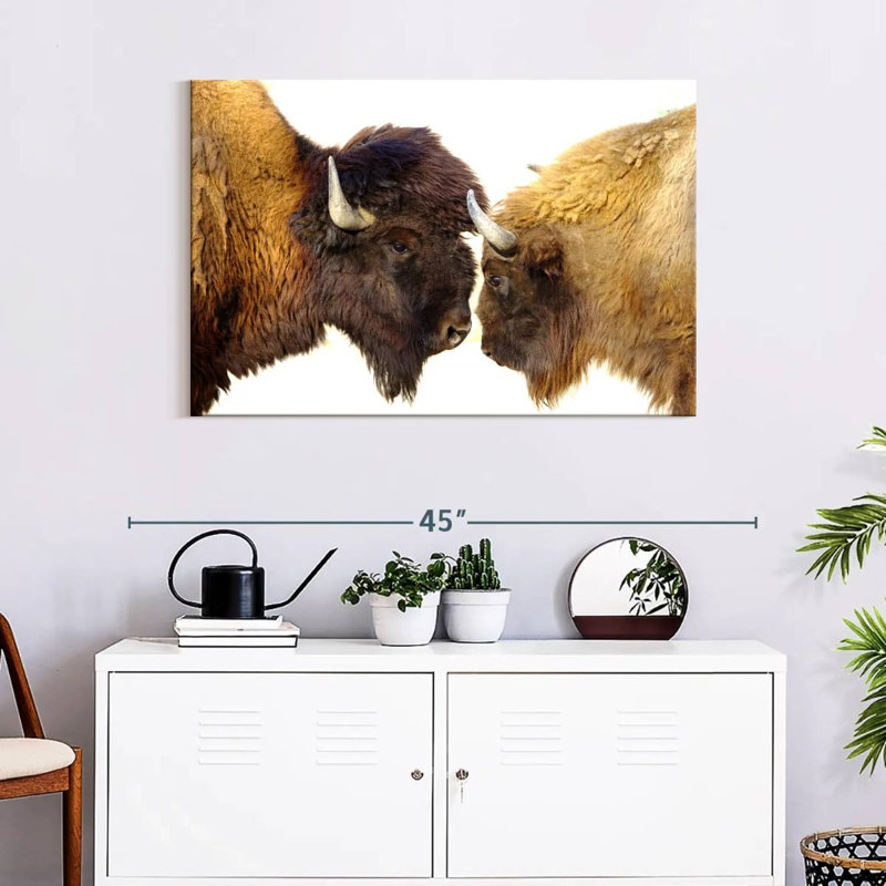 Brampt Bisons I, 24" H x 36" W