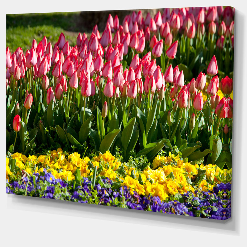 «Tulip Garden with Yellow Flowers», reproduction de photo sur toile tendue, H 8 po x l 12 po