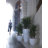Vases Resin Pot Planter-49046812-49046802