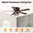 Hadiya 48'' Ceiling Fan with Light Kit