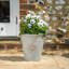 Dinardo Pot Planter-1955219779-1955219776