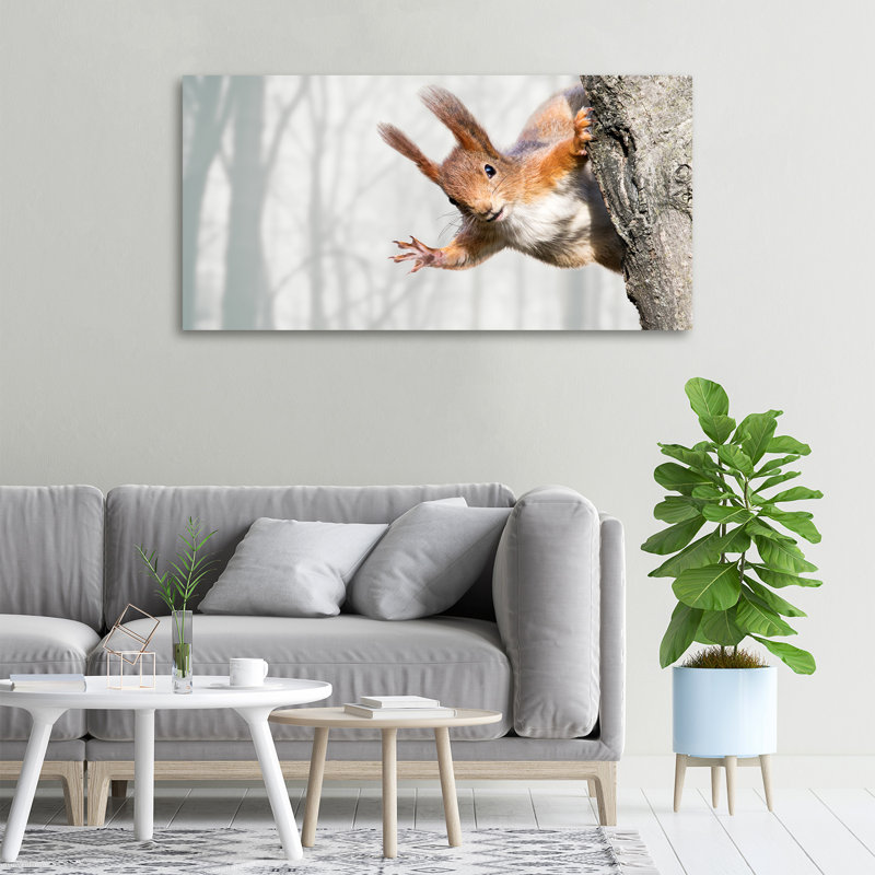 Squirrel - No Frame Print on Canvas