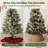 Plastic Tree Collar-137655582