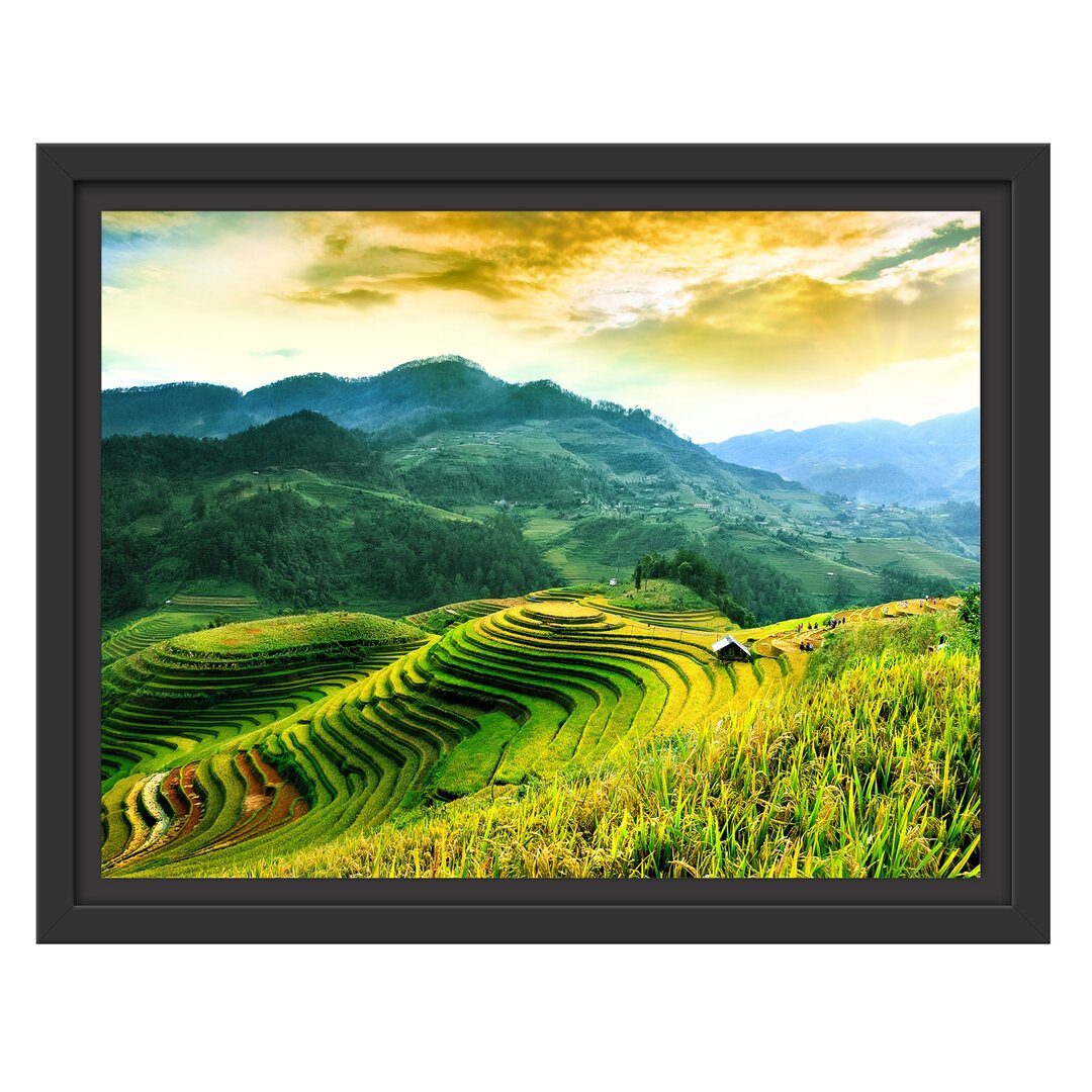 Reisfelder in Vietnam Floater Frame Graphic Art Print auf Papier