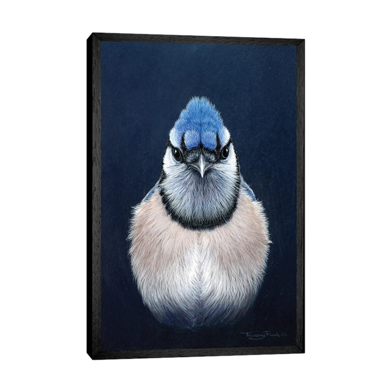Blue Jay by Jeremy Paul - Print on Canvas, 66.04cm H x 45.72cm W x 3.81cm D, Black Framed