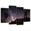 Parc arboré Oberle Starlit Joshua-108832254