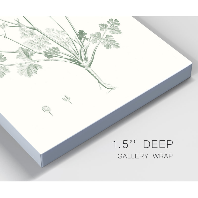 «Botanical Study in Sage IV», reproduction d'art sur toile tendue, H 48 po x l 32 po x P 1 po