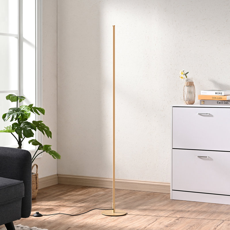 Lampe de plancher de coin à DEL 57,5 po Allana, Doré, Non réglable, Non