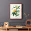 «Turpin Tropical Botanicals VI», reproduction encadrée - bois massif-1354887343-1354887340