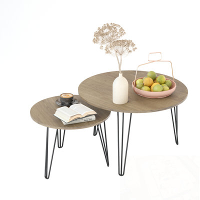 Round Nesting Coffee Table Set of 2 with metal legs