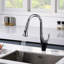 SUMERAIN Pull Down Kitchen Faucet Lead-free Stainless Steel Single Handle Kitchen Sink Faucet-114147331