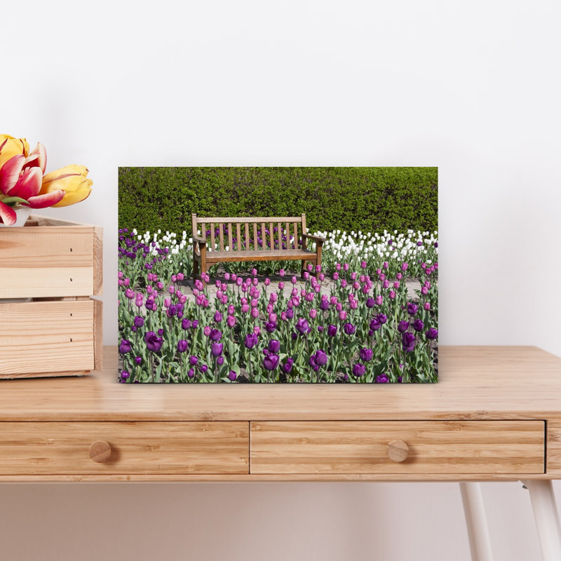 Empty bench in Tulips garden Cantigny Park Wheaton Illinois USA 1 Piece Wrapped Canvas Wall Art, 45.72 cm H x 30.48 cm W