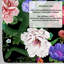 Dark Botanical Floral Wallpaper