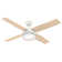 52" Dempsey 4 - Blade Standard Ceiling Fan with Remote Control and Light Kit Included