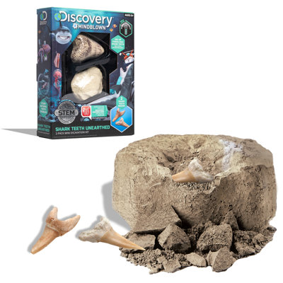 Excavation Kit Mini Shark Tooth