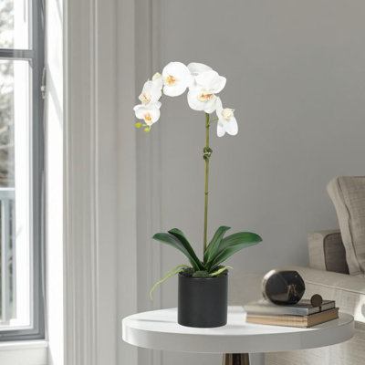 Orchid Arrangement In Pot